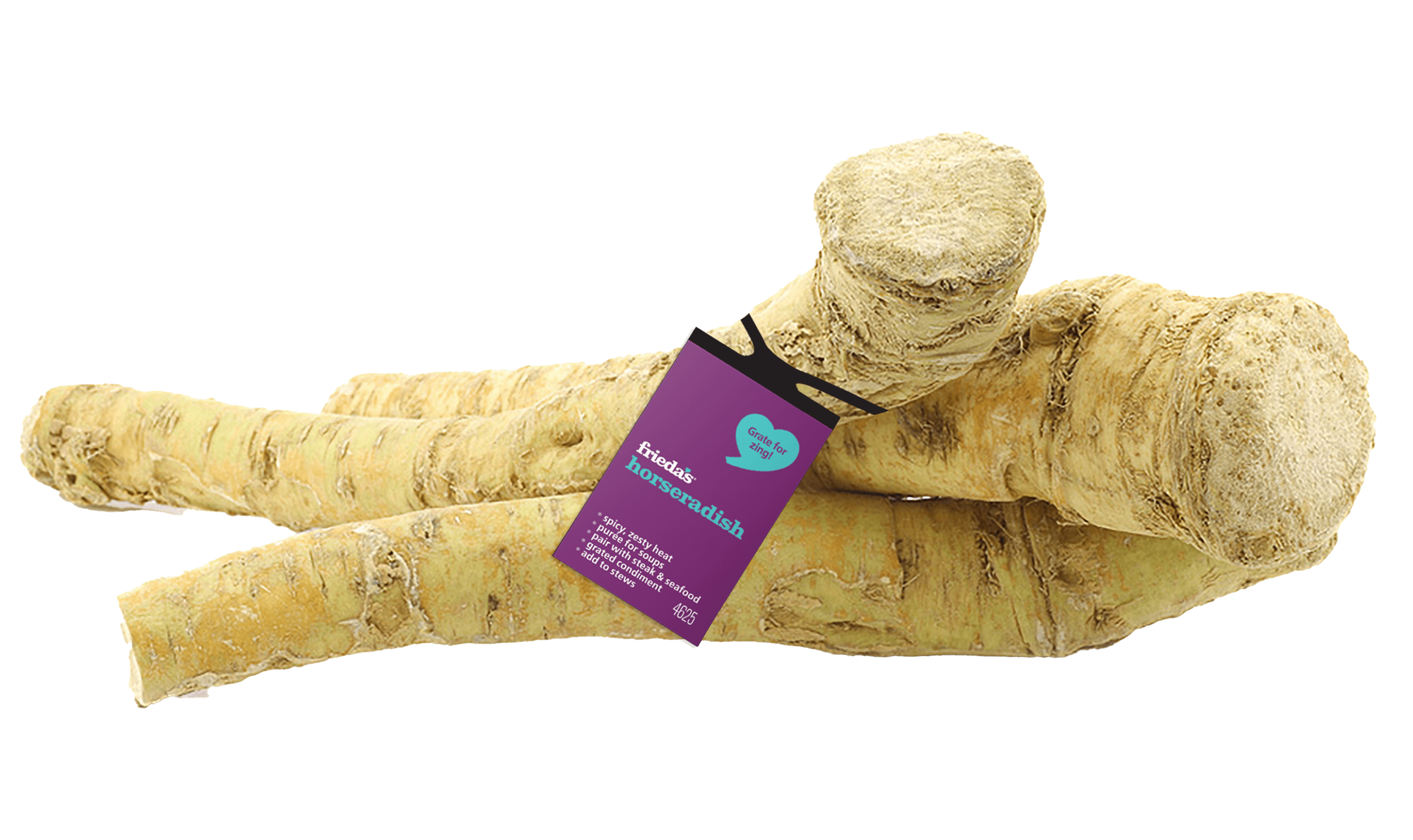 Horseradish Root Image