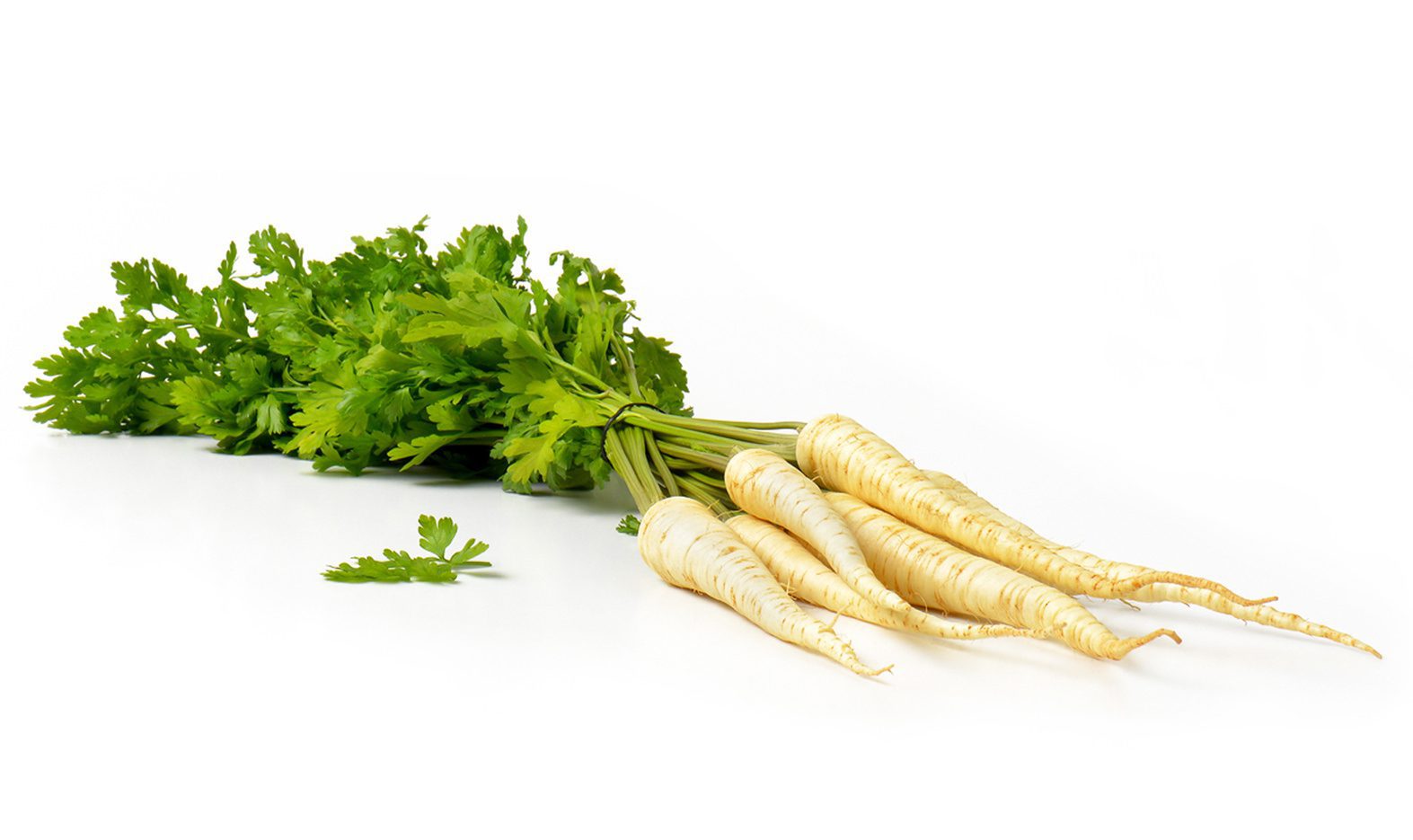 Parsley Root Image